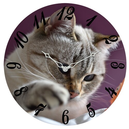 фото Настенные часы svs 3503198