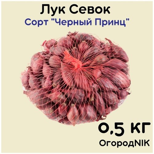 Лук Севок сорт 