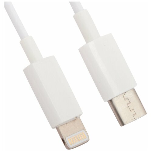 Кабель LP USB Type-C для Apple 8 pin (белый/европакет) usb кабель lp для apple lightning 8 pin classic белый европакет