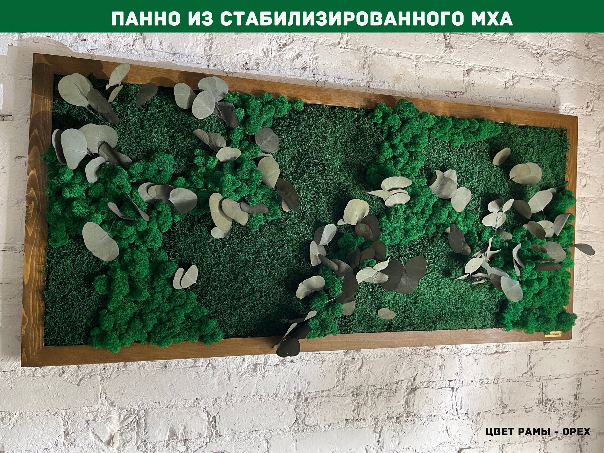 Панно из стабилизированно мха GardenGo в рамке цвета орех, 75х150 см, цвет мха зеленый