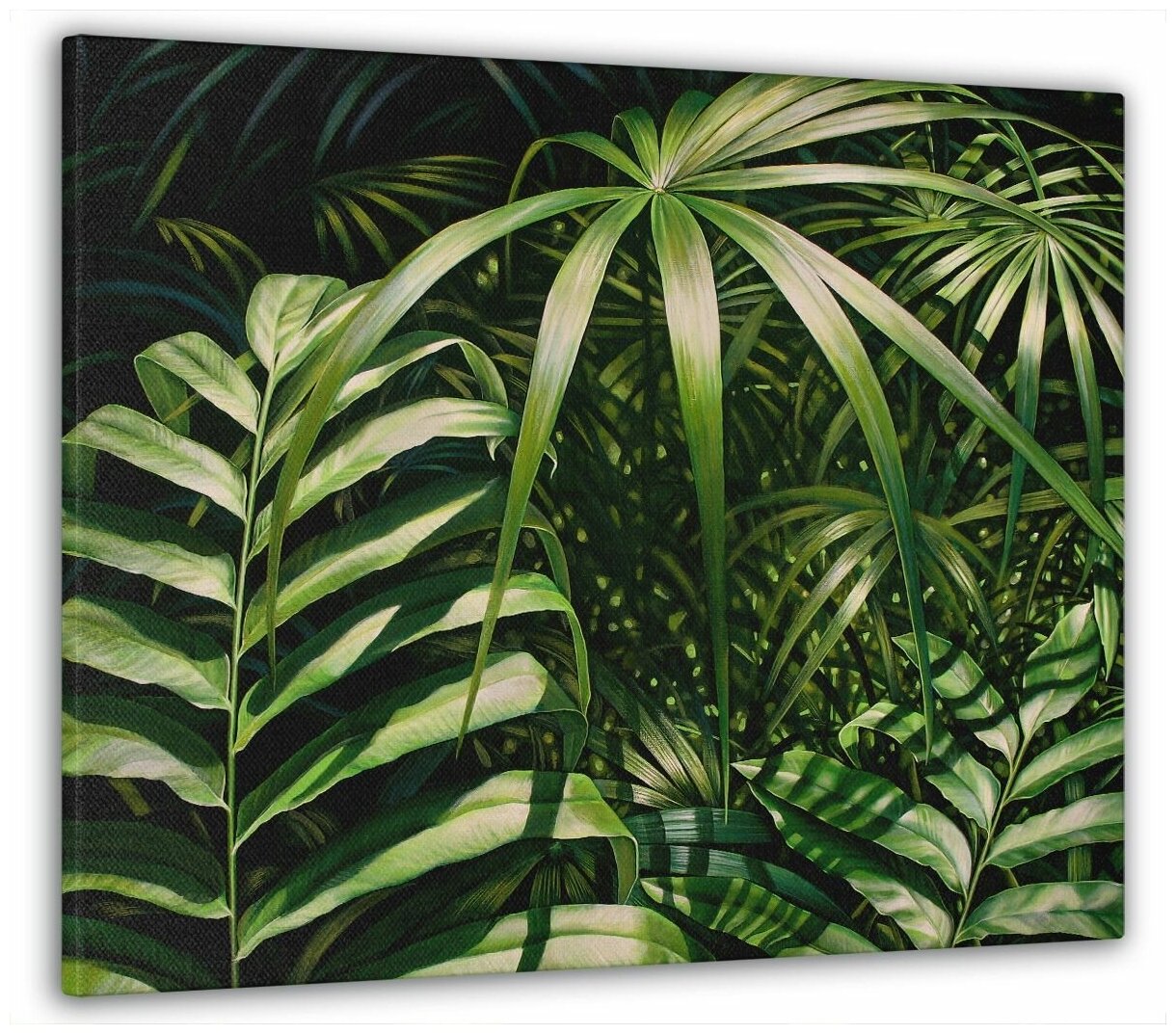 Картина на стену, для интерьера "Зеленые папоротники" 50x70 см