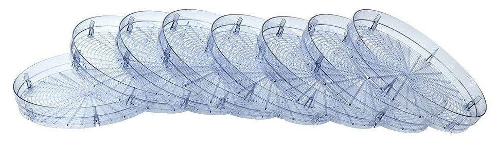 MARTA MT-FD1886D 14 поддонов-8+3 для пастилы+3 для ягод белый жемчуг сушилка д/фруктов,овощей - фотография № 7