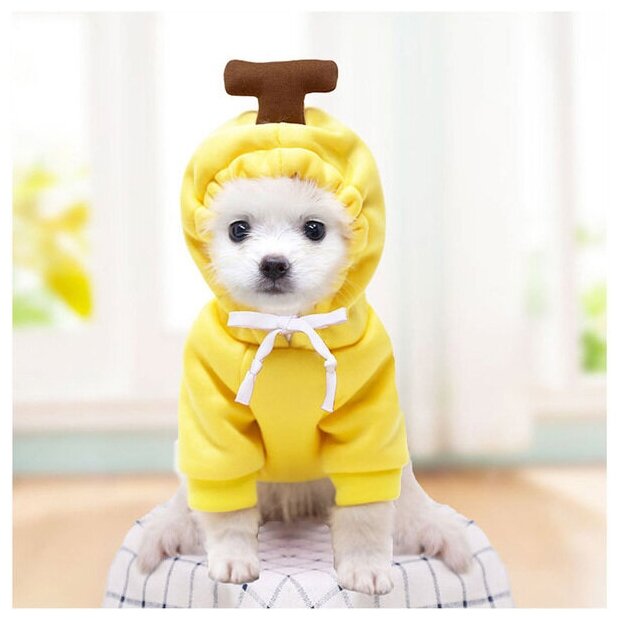Кофта-толстовка для собаки «Wonderful style-Банан» с капюшоном, размер M (44*30*26см) Ultramarine - фотография № 7