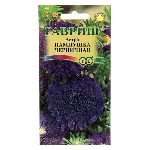Семена. Астра "Пампушка", черничная (вес: 0,3 г) синий