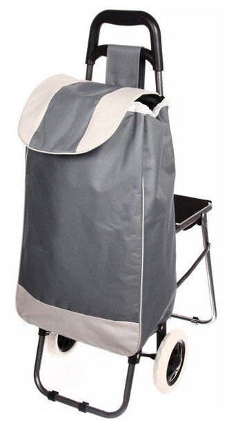 Сумка-тележка тележка для багажа Florento 946-130, 34х90.5х56 см, серый