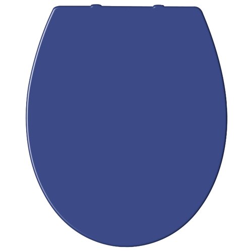 крышка сиденье для унитаза santek концепт 1 wh10 6 918 с микролифтом soft close Сиденье для унитаза RIDDER Miami синий