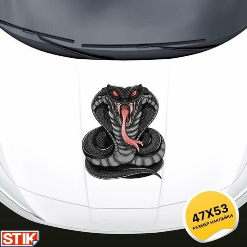 Наклейка на кузов, капот и двери авто 