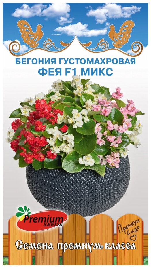 Бегония вечноцветущая густомахровая Фея F1 микс (5 семян) Премиум Сидс