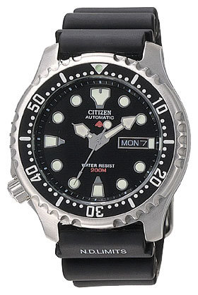 Наручные часы Citizen NY0040-09EE