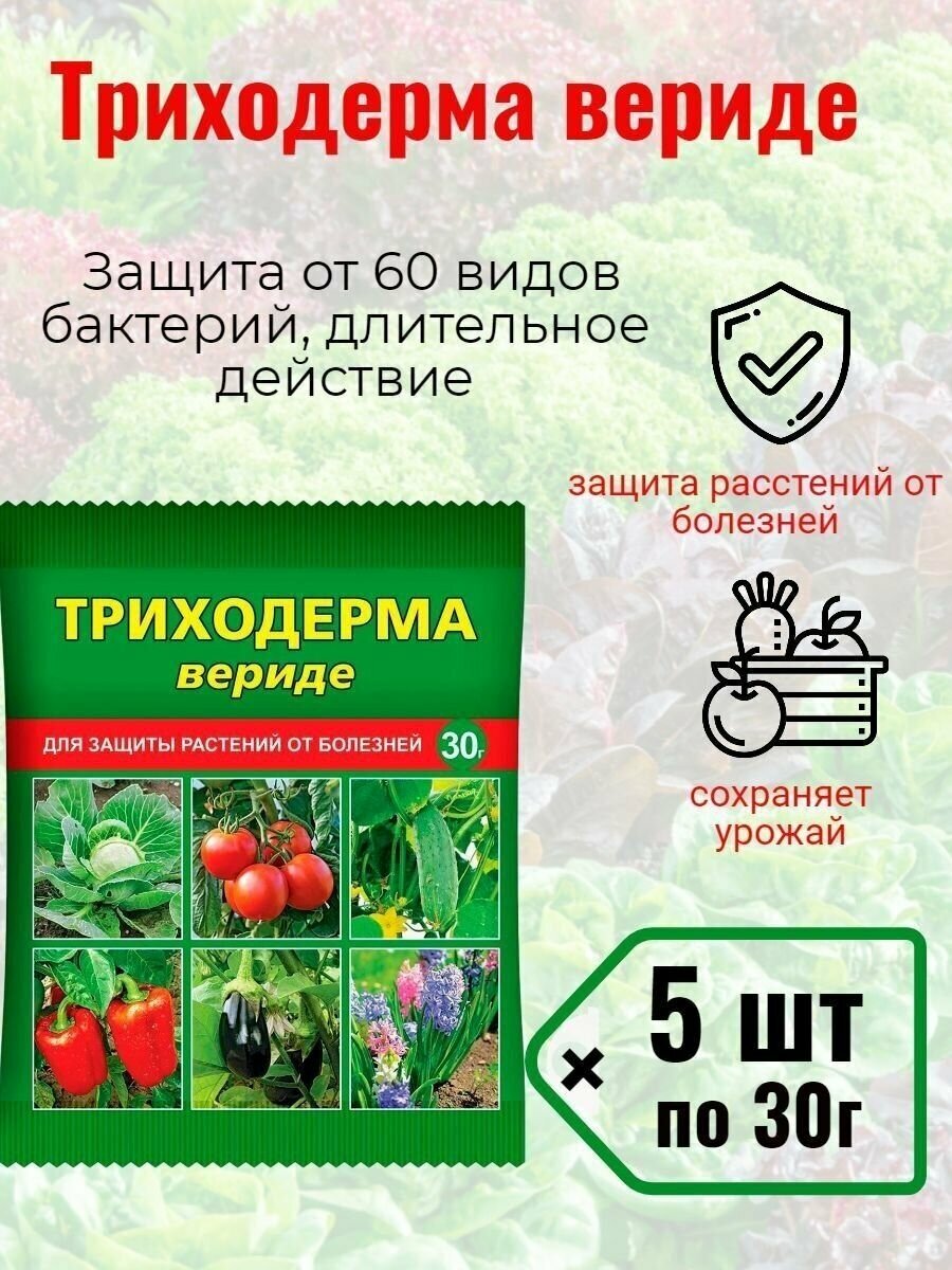 Препарат для защиты растений от болезней Триходерма вериде, 5 шт. по 30 гр. - фотография № 2