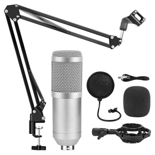 Микрофон студийный конденсаторный BM 800 с подставкой Золотой 279000₽