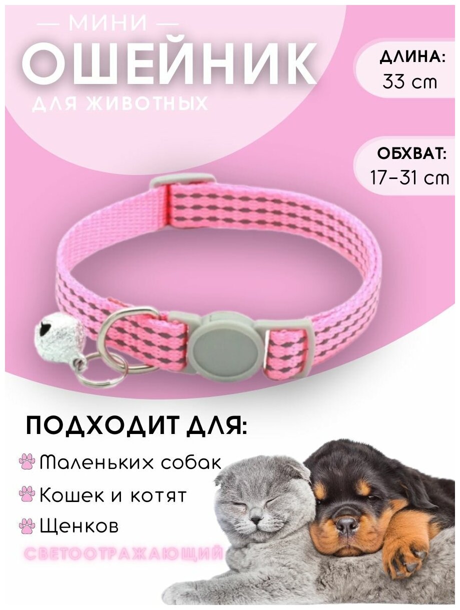Ошейники для кошек Collar линейки Evolution — купить по низкой цене на ...