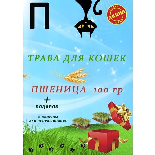 Трава для кошек свежая, набор семян