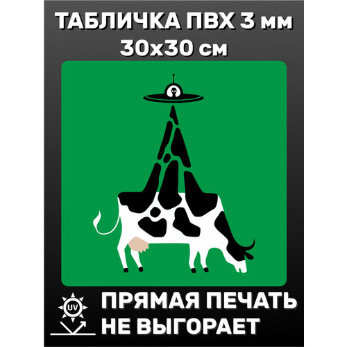 Табличка информационная Инопланетяне 30х30 см табличка информационная крик 30х30 см