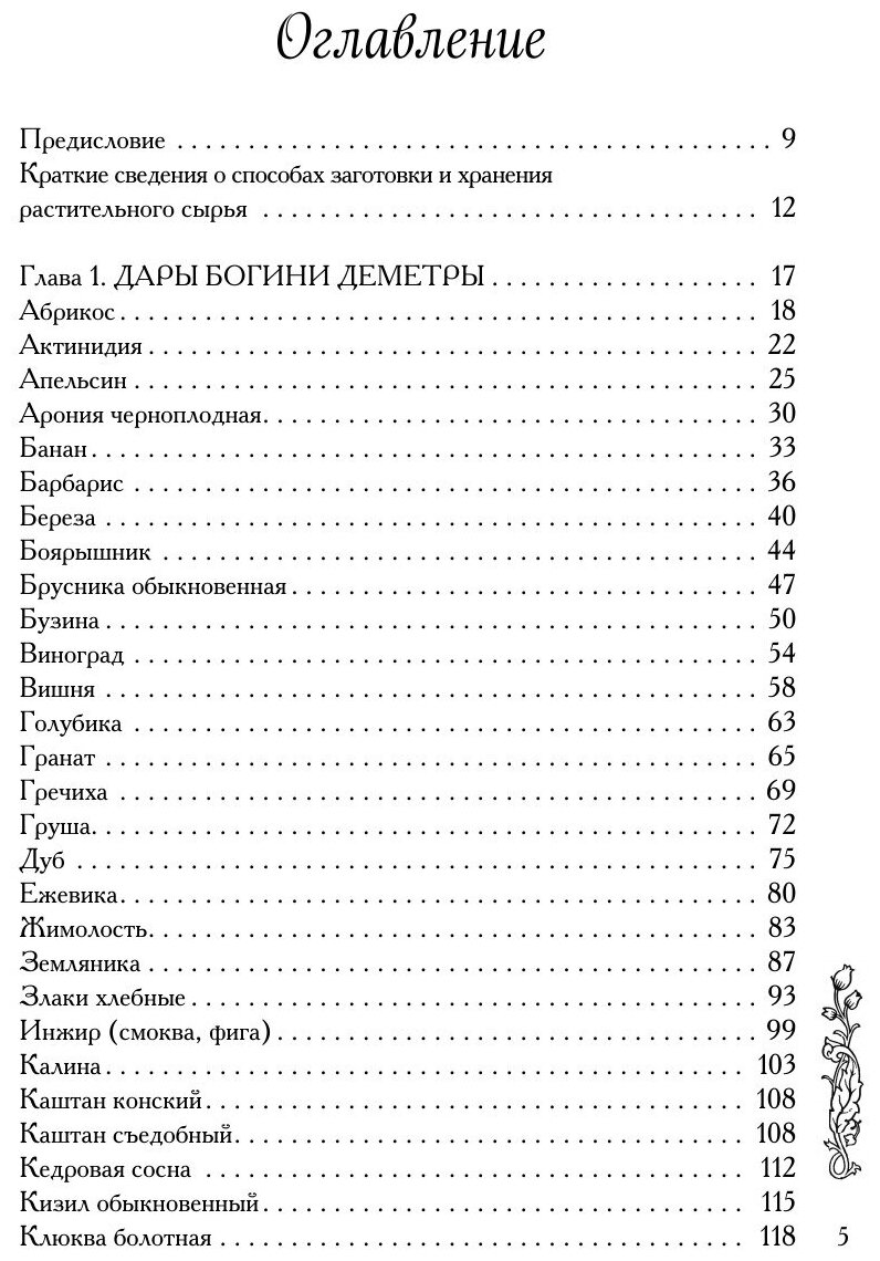 Натуральная аптечка. Ягоды, овощи, фрукты, пряные травы - фото №5