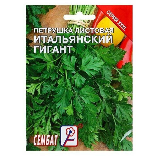 Семена ХХХL Петрушка Итальянский гигант, 20 г 6 упаковок семена петрушка плант гигант италии 1 г