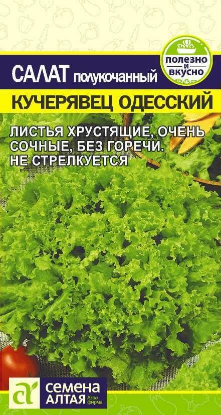 Зелень Салат Кучерявец Одесский 05г/Сем Алт