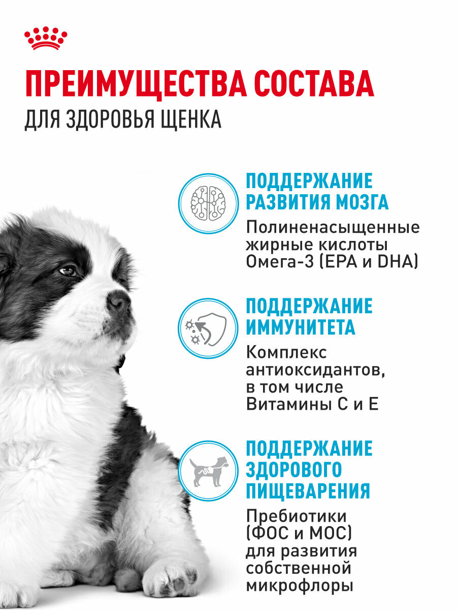 Сухой корм для щенков Royal Canin Giant Puppy для очень крупных пород, 15 кг — фото 1