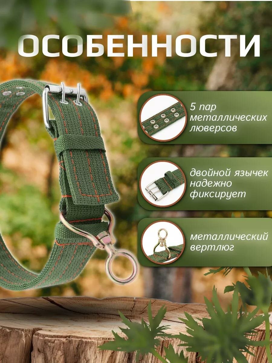 Ошейник четырехслойный с вертлюгом, 80 х 4,9 см, ОШ 64-74 см, полиэстер, зелёный — фото 1