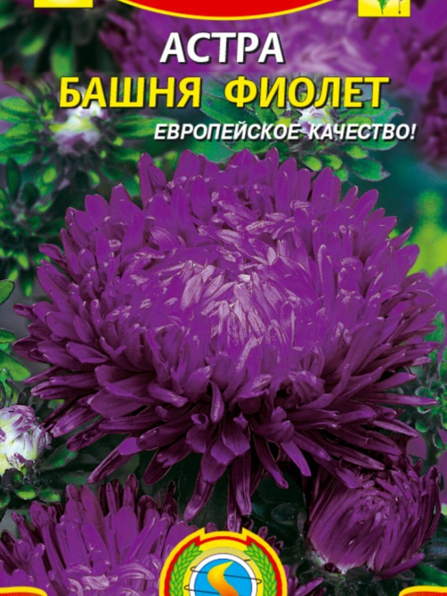 Семена Астра Башня Фиолет 03 гр Плазменные семена