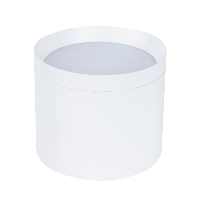 Накладной светильник Favourite 4708-1C