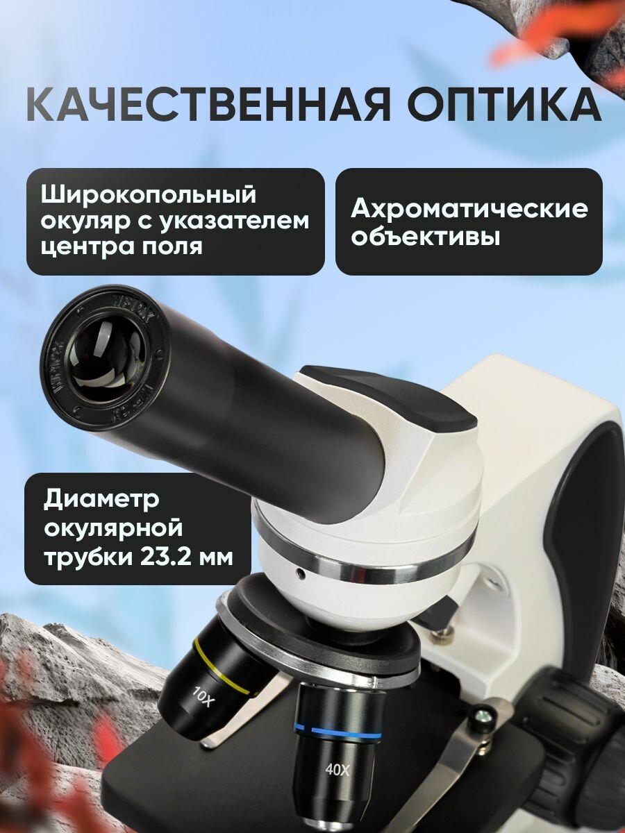 Микроскоп Discovery Pico Polar с Книгой — фото 1
