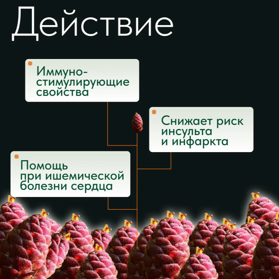 Биодон Аква Комплекс, фитококтейль для укрепления иммунитета, печени и сердца — фото 1