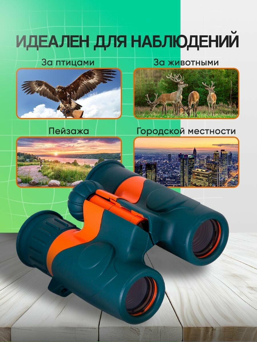 Бинокль Levenhuk LabZZ B2 для наблюдений за природой и городскими пейзажами — фото 1