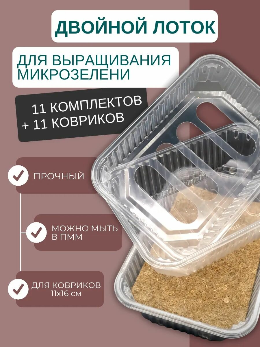 Проращиватель семян