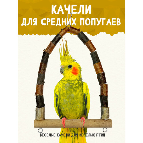 фото Качели для средних попугаев