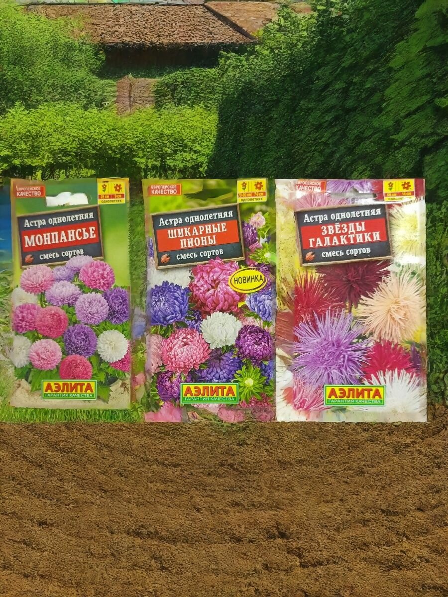 Набор семян астр Агрофирмы Аэлита . Монпасье  Звезды галактики  Шикарные пионы 3 сорта