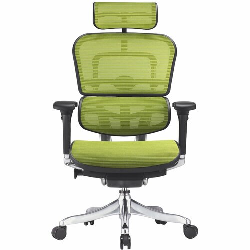 Эргономичное компьютерное кресло Comfort Seating ERGOHUMAN Plus Green