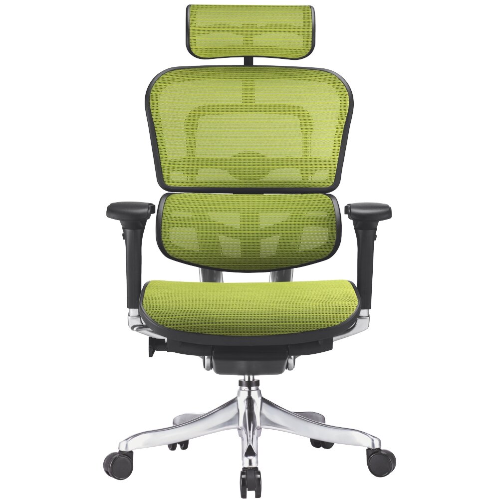 Эргономичное компьютерное кресло Comfort Seating ERGOHUMAN Plus Green