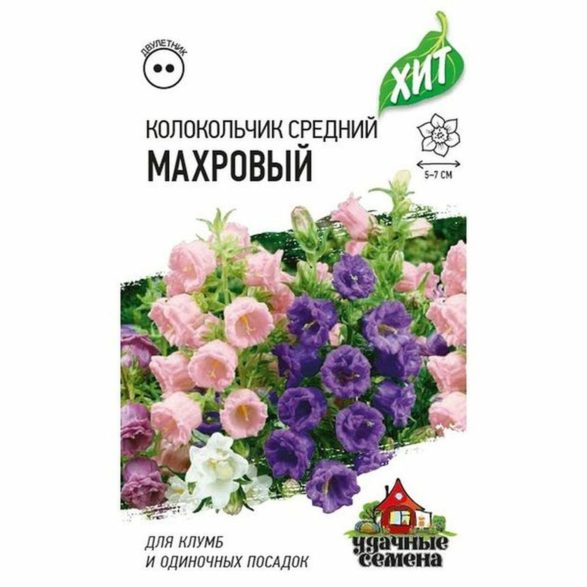 Семена Колокольчик Махровый средний многолетние Гавриш - ХИТх3 1 пачка - 0.1г семян