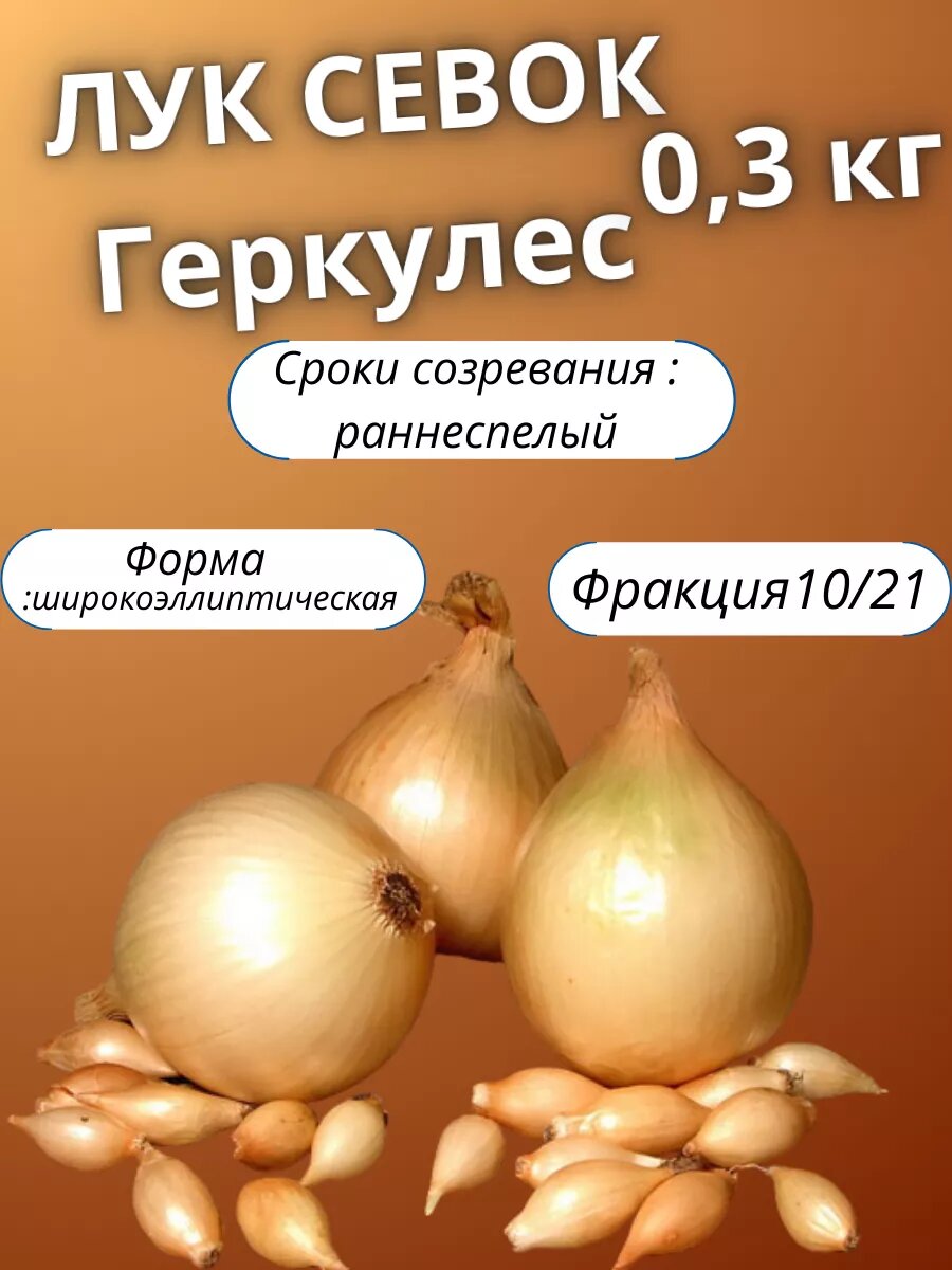 Лук севок Геркулес 0.3кг