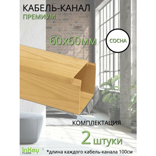 Кабельный короб 6060мм сосна премиум 2 штуки 2346₽