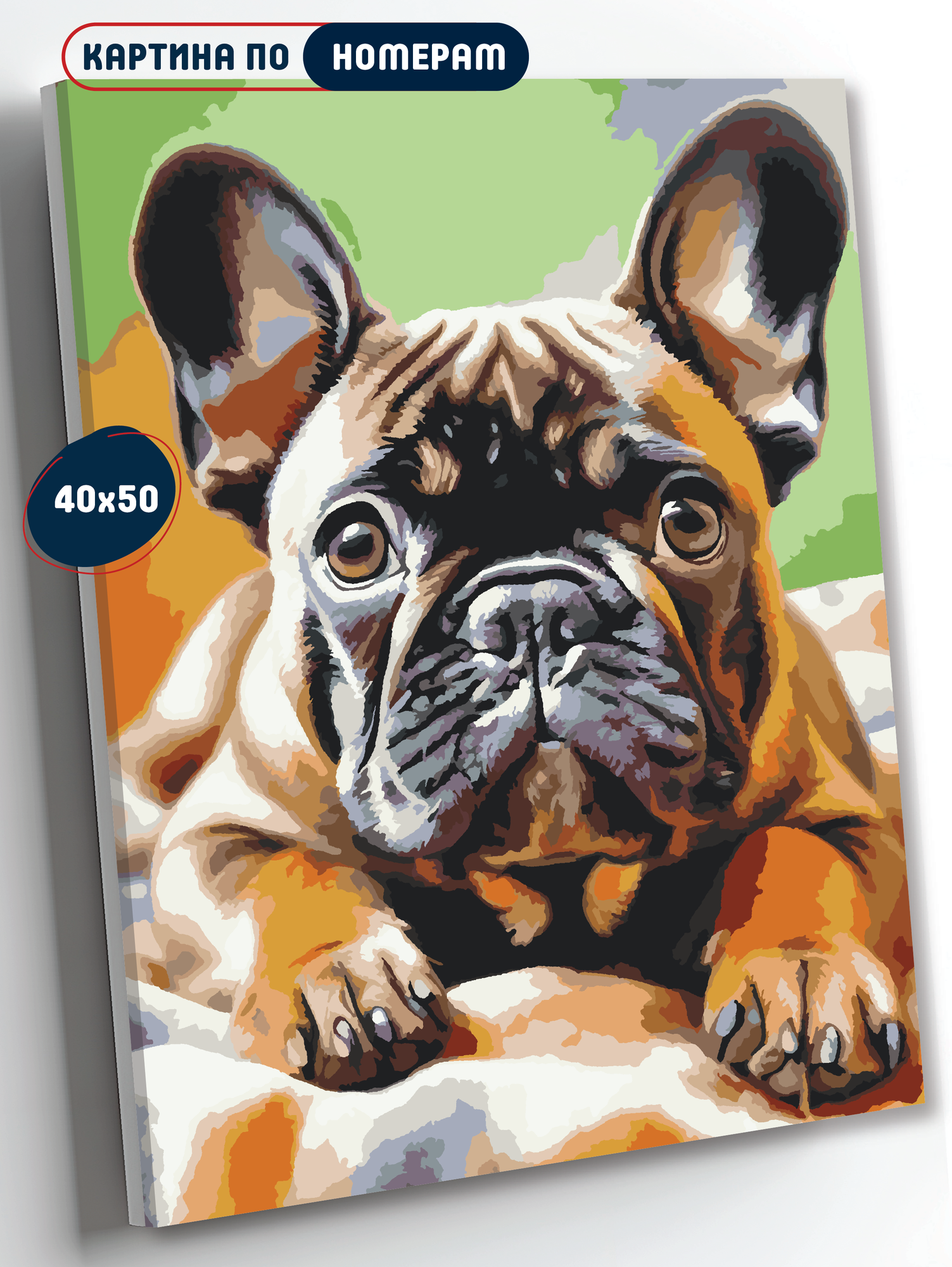 Картина по номерам "Собаки.№45", Холст на подрамнике 40х50, набор для рисования