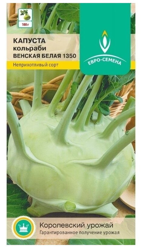 Капуста кольраби Венская белая 1350. Семена. Скороспелый сорт. Округло-плоские стеблеплоды массой 80 -100 гр.