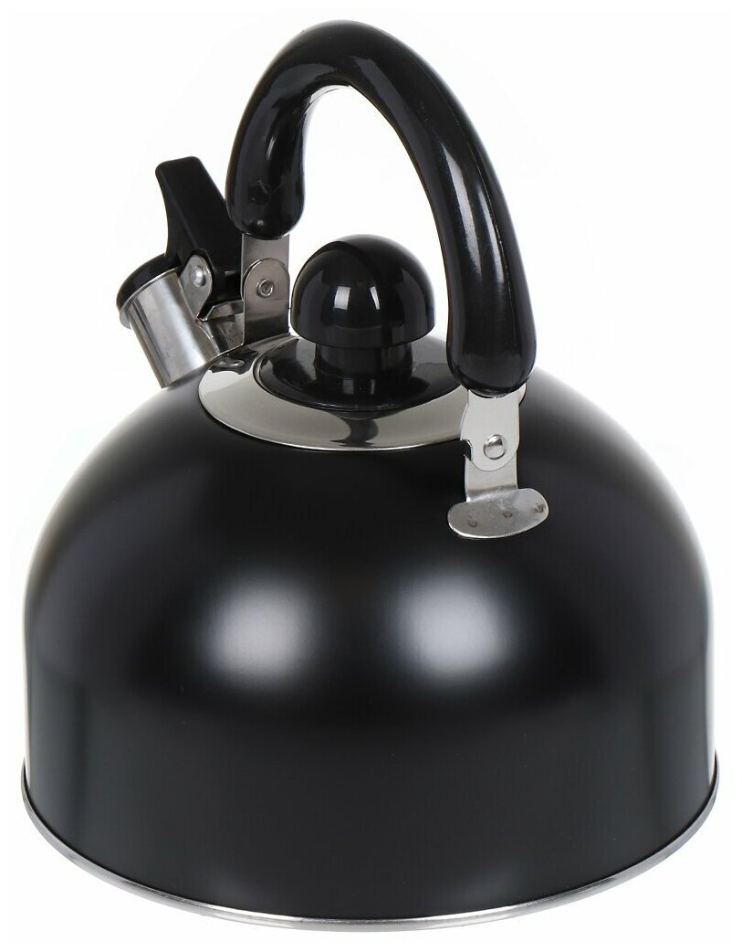 Чайник из нержавеющей стали Daniks GS-04001 черный со свистком, 2.5 л