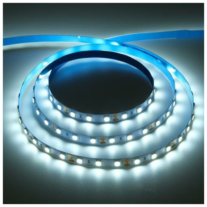 Светодиодная лента Ecola PRO, 12В, SMD5050, 5 м, IP20, 14.4Вт/м, 60 LED/м, 6000К - фотография № 1