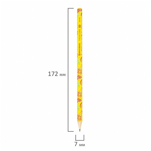 Карандаш чернографитный BRAUBERG «FRESH ZONE», 1 шт, HB, корпус ассорти, 181759 / Квант продажи 72 Ед.