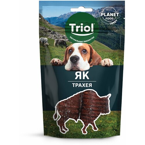 Triol Лакомство для собак PLANET FOOD Трахея яка, 40г, 12 упаковок triol лакомства triol лакомства лакомство для собак fun food чипсы со вкусом курицы 131 г