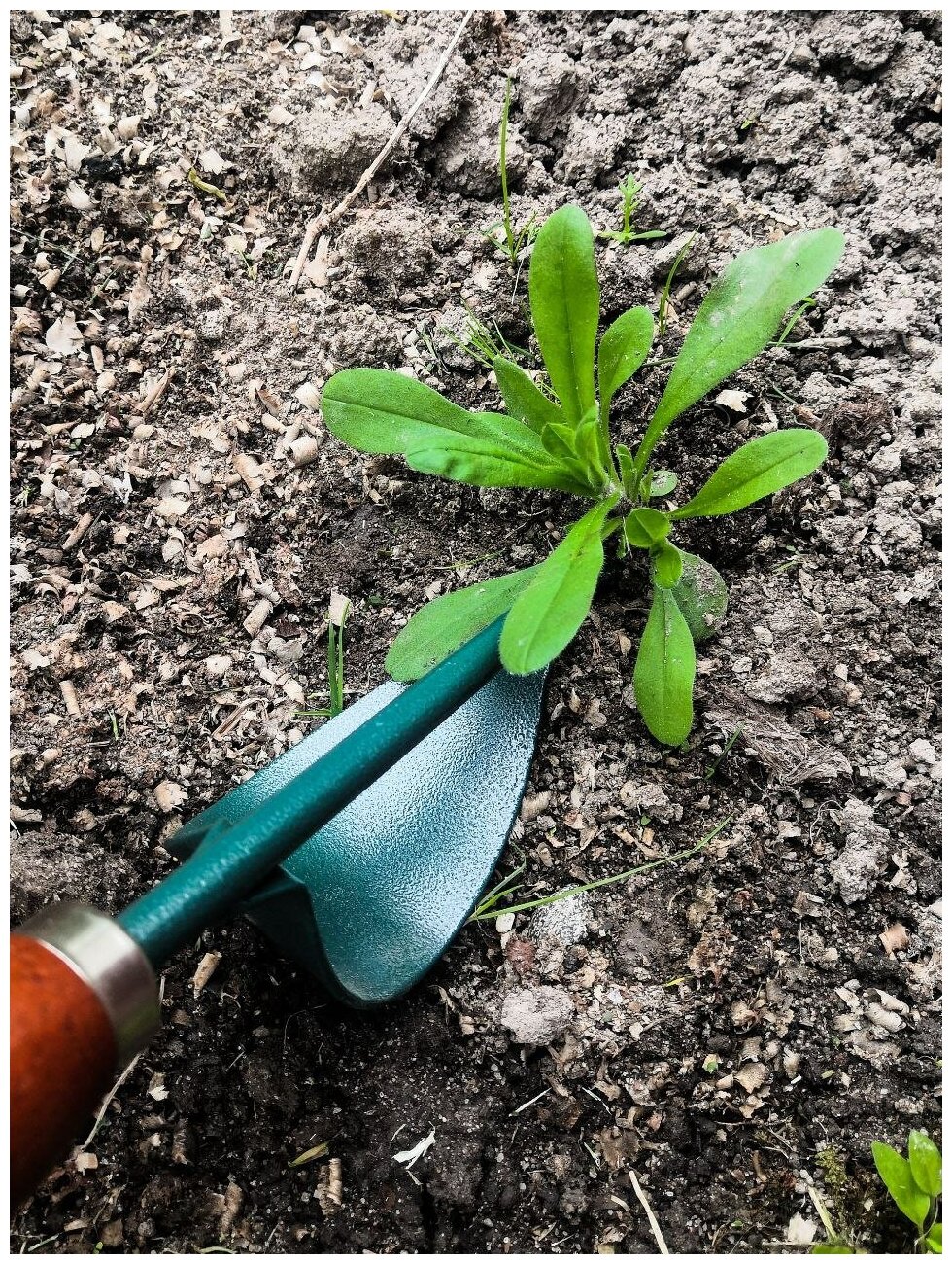 Корнеудалитель видер (садовая вилка), удалитель сорняков Grinda, с деревянной ручкой 340 мм - фотография № 6