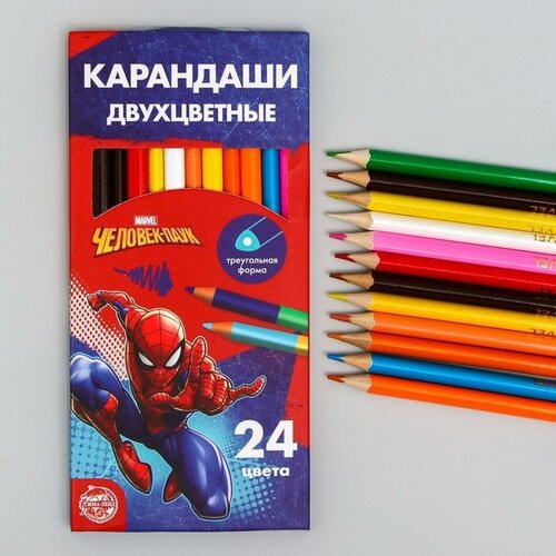 Карандаши двухсторонние, 24 цвета, заточенные, трехгранные, картонная упаковка, европодвес, Человек-паук