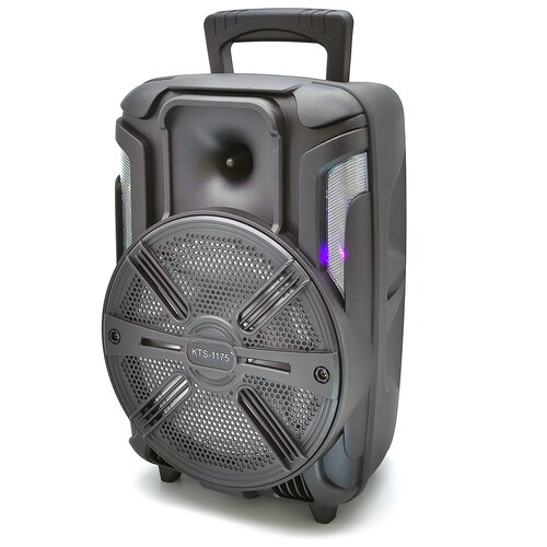 Колонка беспроводная с караоке 379000₽