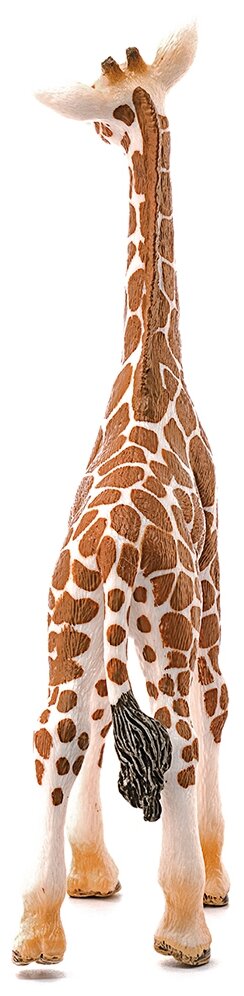 Фигурка "Детеныш жирафа" Schleich Wild Life/ для детей от 3 лет/ Шляйх 14751