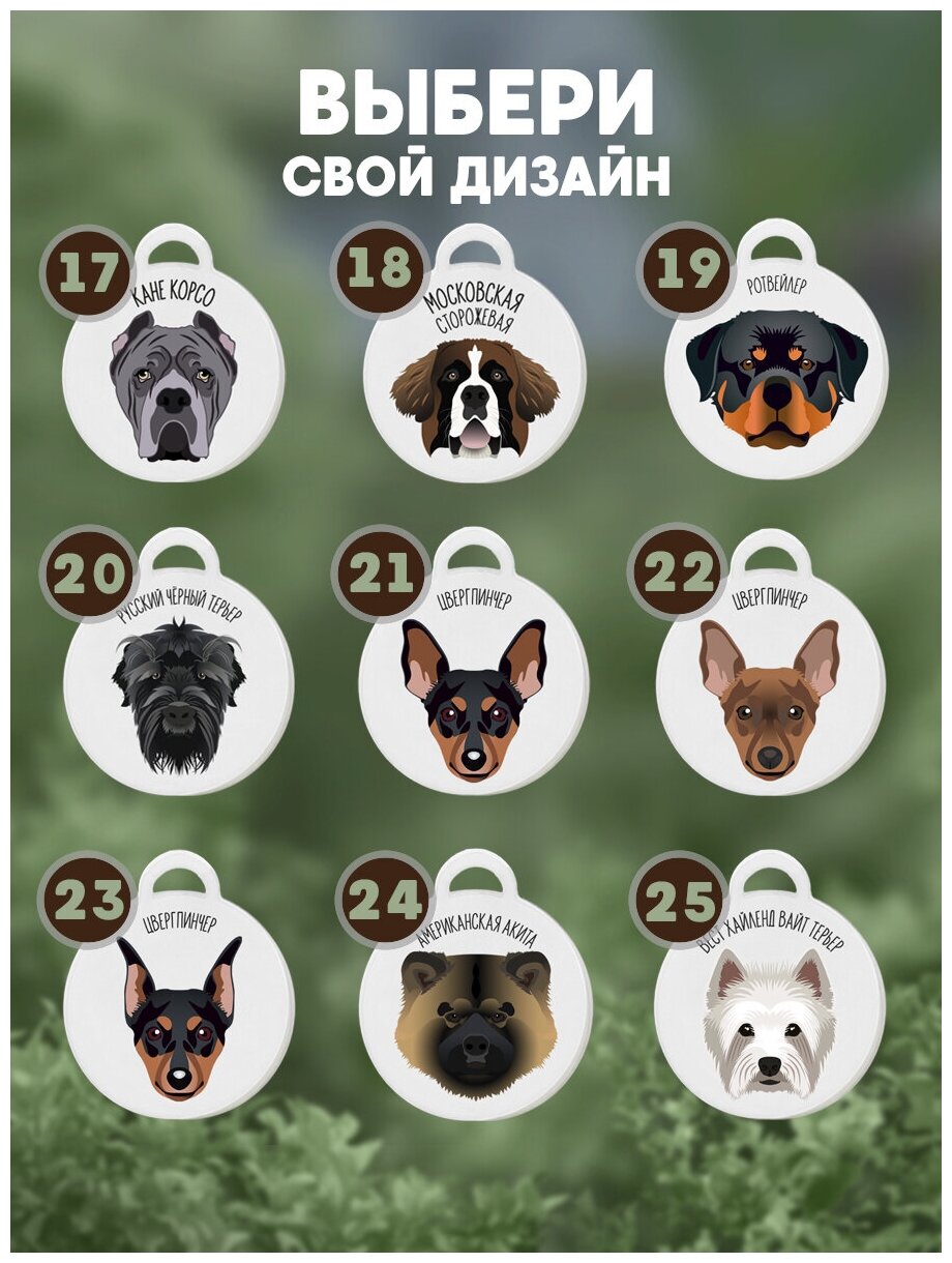 Адресник для собак с гравировкой(печать), Funny Pets 2-4 FCI, нержавеющая сталь - фотография № 4