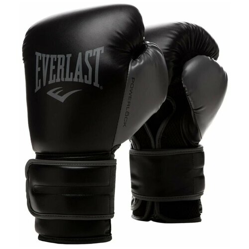 Боксерские перчатки Everlast Powerlock PU 2 черные