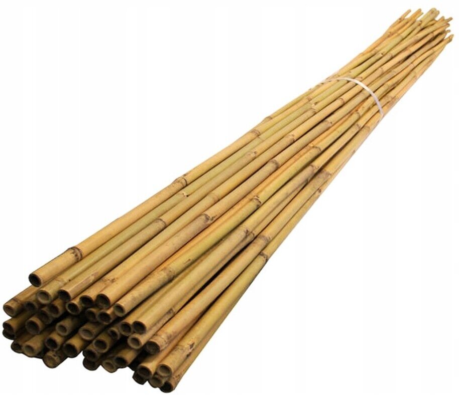 Поддержка для растений бамбуковая 60 см