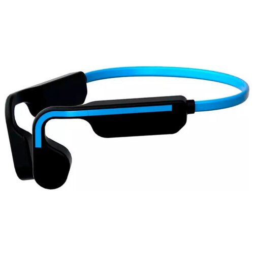 BandRate Smart BRSTWSG11BBL 349000₽